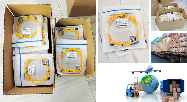 Single Mode Dual Core SC-FC Fiber Optic Patch Cord - Fiber Optic Patch Cord & Pigtail - 1