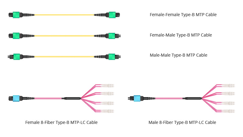 MTP/MPO Type-B Cable Categories - News - 1