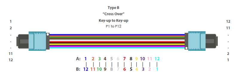 MTP/MPO Type-B Cable Overview - News - 1