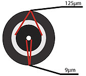 Single Mode Fiber Optic Cable - News - 1